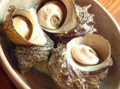 寿司 一休のおすすめ料理3