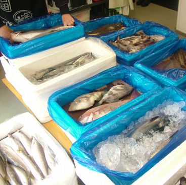 桐のや 中区 宮川町の雰囲気1