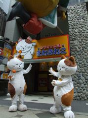 カラオケ本舗 まねきねこ 札幌南3条店の雰囲気1