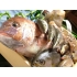 みよし 和食とお肉のお店 旬彩活魚の写真
