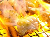 藤沢酒場 情熱ホルモン