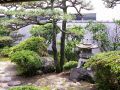 浜松茂 はままつもの雰囲気1