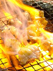 情熱ホルモン 加古川酒場の写真