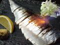 ばってん ダイニングのおすすめ料理1