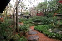 市中の山居！！