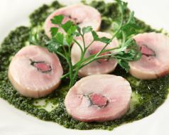 料理メニュー写真 霧島鶏の冷製グリーンソース
