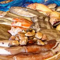 「鮮度」と「味」の極み