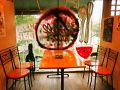 スモール ビシャス Small Vicesの雰囲気1