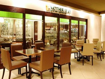 マザーリーフ 青山オーバルビル店の雰囲気1