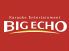 ビッグエコー BIG ECHO 名古屋伏見店のロゴ