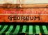 コルム GEOREUM コリアンキッチンのロゴ