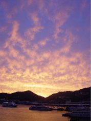 ビストロ長崎ぶらぶら邸の雰囲気3