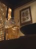 鶏あえず ヤキトリダイニング Yakitori Diningのおすすめポイント2