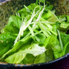 料理メニュー写真 ゴマサラダ