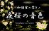 夜桜の音色 心斎橋店のロゴ