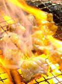 情熱ホルモン 池袋西口酒場
