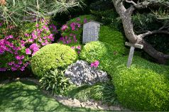 羽衣 明治記念館の雰囲気1