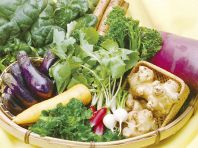 朝採り野菜使用