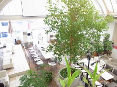 ソファーやイスはすべて移動可能です！