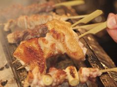 料理メニュー写真 ねぎま/せせり/かわ/砂肝/レバー/手羽先/軟骨