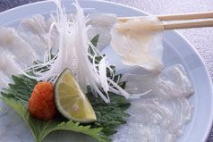 料理メニュー写真 てっさ(とらふぐ刺身)