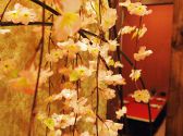 桜坂 金山店の雰囲気