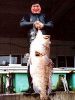 シオサイ 居食酒屋の写真