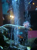 アクア Dining Kitchen AQUAの雰囲気3