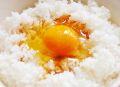 料理メニュー写真&nbsp;卵かけごはん