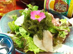 料理メニュー写真 ぱいかじサラダ