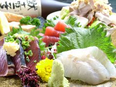 料理画像