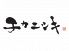 チカニシキのロゴ