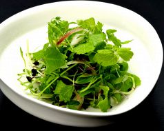 料理メニュー写真&nbsp;　・『七福草』～名物細切り野菜