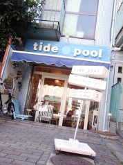 tide pool の写真