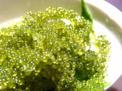 料理メニュー写真 海ぶどう~グリーンキャビア~