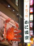 はや あみ焼き屋 道頓堀店
