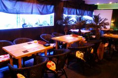 カナロア KANALOA ディッシュ クリエイト Dish Createの写真