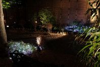 四季折々の和花の咲く昨庭