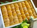 料理メニュー写真&nbsp;生うに