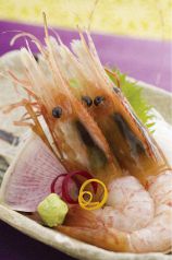 料理メニュー写真&nbsp;牡丹海老のお造り