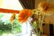 おもてなしの心をこめて。