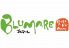 ブルマーレ BLUMARE 新宿店のロゴ