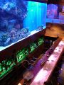 シーフロアー Seafloorの雰囲気1