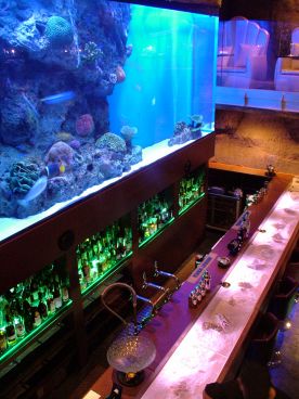 Seafloor シーフロアーの雰囲気メイン