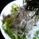 料理メニュー写真 大根とじゃこサラダ