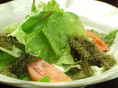 料理メニュー写真 海ぶどうサラダ