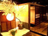 和の個室空間 竹取の桜小町 三宮店の雰囲気2