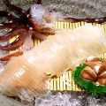魚まさ 美原店 函館海鮮居酒屋のおすすめ料理1