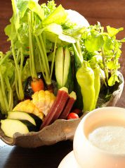 料理メニュー写真&nbsp;とれたて生野菜　バーニャカウダー