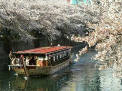 網元屋形船 あみ貞丸の写真